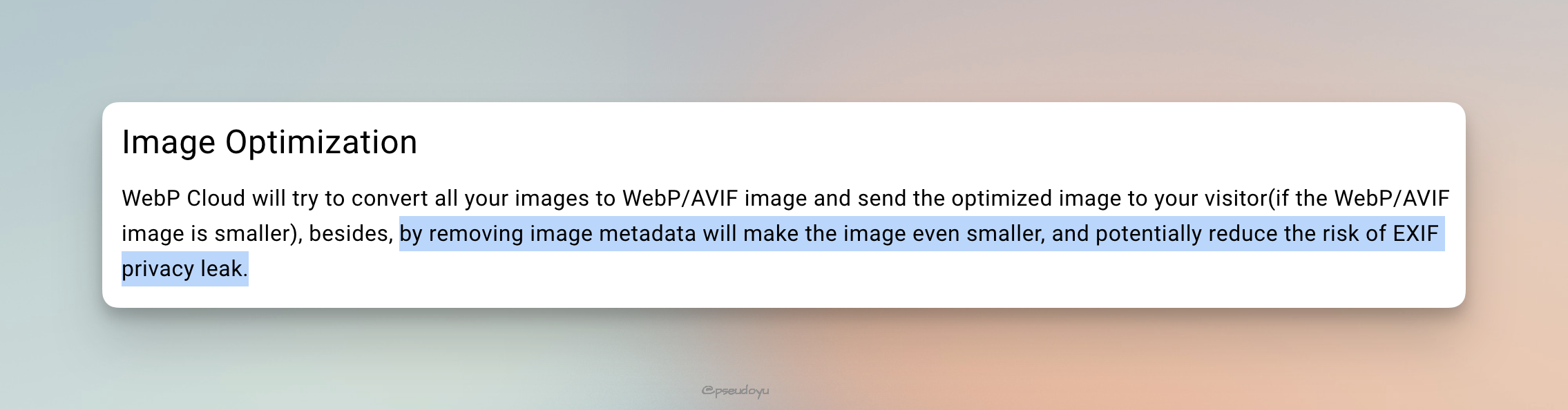 webp_exif_remove