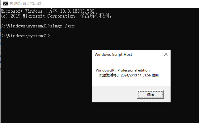 群晖使用vlmcsd部署KMS激活服务器，激活windows 10-第二个脑子🧠