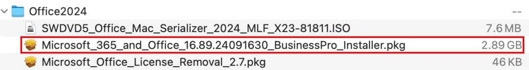 Office 2024 for Mac 安装官方原版Office+激活器，永久激活！-第二个脑子🧠